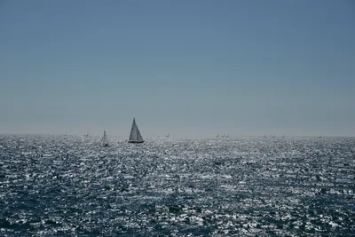 1891566_10152618278574826_8621662905011709875_o.jpg